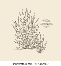 Background with new zealand flax: phormium tenax plant and new zealand flax leaves. Phormium tenax. Cosmetic, perfumery and medical plant. Vector hand drawn illustrat