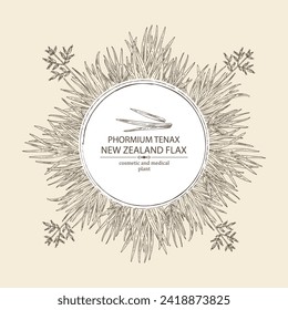 Background with new zealand flax: phormium tenax plant and new zealand flax leaves. Phormium tenax. Cosmetic, perfumery and medical plant. Vector hand drawn illustrat