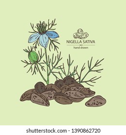 Background with nigella sativa: seeds and flower of nigella sativa. Vector hand drawn illustration.