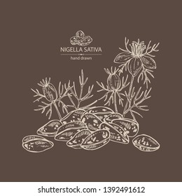 Background with nigella sativa: seeds and flower of nigella sativa. Vector hand drawn illustration.