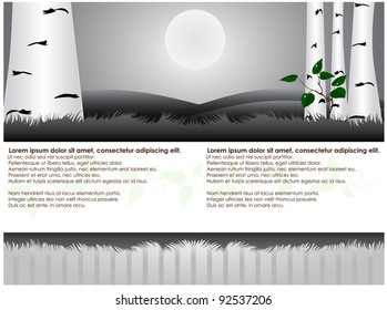 Background night with birch under full moon and grass