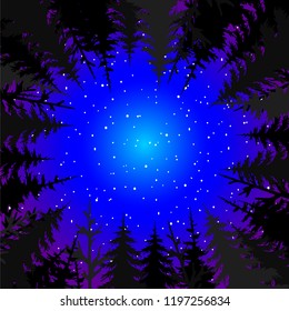 background with night sky and tops of trees, vector forest
