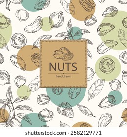 Background with nuts: almond, brazilian nut, pecan and macadamia. Vector hand drawn illustration.