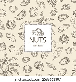 Background with nuts: almond, brazilian nut, pecan and macadamia. Vector hand drawn illustration.