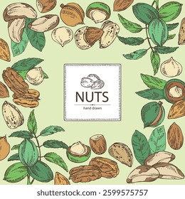 Background with nuts: almond, brazilian nut, pecan and macadamia. Vector hand drawn illustration.