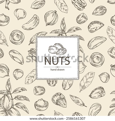 Background with nuts: almond, brazilian nut, pecan and macadamia. Vector hand drawn illustration.