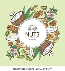 Fondo con frutos secos: almendras, coco, nueces de nuez y pistacho. Vector dibujado a mano ilustración.