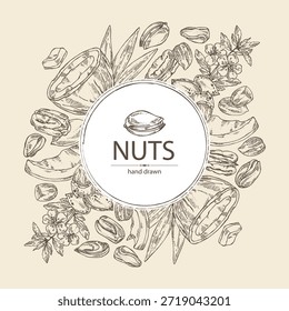Fundo com nozes: nozes de amêndoa, coco, nozes de pecan e pistache. Ilustração desenhada à mão vetorial.