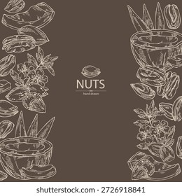Fondo con frutos secos: almendras, coco, nueces de nuez y pistacho. Vector dibujado a mano ilustración.
