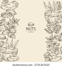 Background with nuts: almond nuts, coconut, pecan and pistachio nuts. Vector hand drawn illustration.