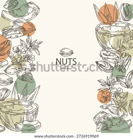 Background with nuts: almond nuts, coconut, pecan and pistachio nuts. Vector hand drawn illustration.