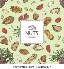 Background with nuts: almonds, pecan, peanuts and pine nuts. Vector hand drawn illustration.