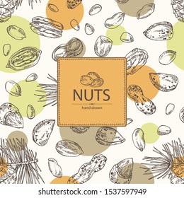 Background with nuts: almonds, pecan, peanuts and pine nuts. Vector hand drawn illustration.