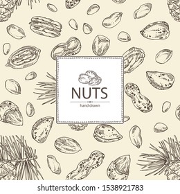 Background with nuts: almonds, pecan, peanuts and pine nuts. Vector hand drawn illustration.