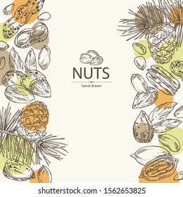 Background with nuts: almonds, pecan, peanuts and pine nuts. Vector hand drawn illustration.