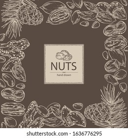 Background with nuts: almonds, pecan, peanuts and pine nuts. Vector hand drawn illustration.