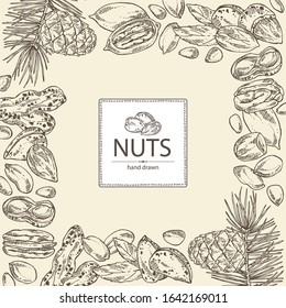 Background with nuts: almonds, pecan, peanuts and pine nuts. Vector hand drawn illustration.