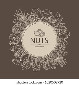 Background with nuts: almonds, pecan, peanuts and pine nuts. Vector hand drawn illustration.