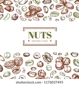 Background with nuts. Cashew and walnut, pistachio and hazelnut organic food vector poster template. Illustration of pistachio and cashew, organic almond and hazelnut