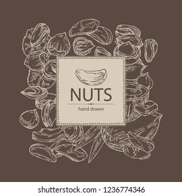 Background with nuts: pistachio, macadamia, hazelnut, brazilian nut and coconut. Vector hand drawn illustration.