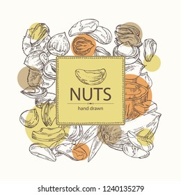 Background with nuts: pistachio, macadamia, hazelnut, brazilian nut and coconut. Vector hand drawn illustration.