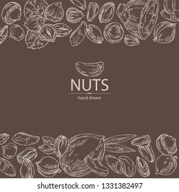 Background with nuts: pistachio, macadamia, hazelnut, brazilian nut and coconut. Vector hand drawn illustration