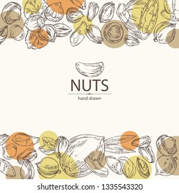 Background with nuts: pistachio, macadamia, hazelnut, brazilian nut and coconut. Vector hand drawn illustration