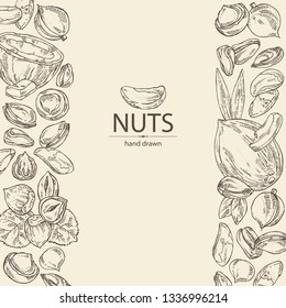 Background with nuts: pistachio, macadamia, hazelnut, brazilian nut and coconut. Vector hand drawn illustration