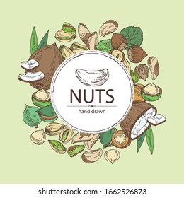 Background with nuts: pistachio, macadamia, hazelnut, brazilian nut and coconut. Vector hand drawn illustration