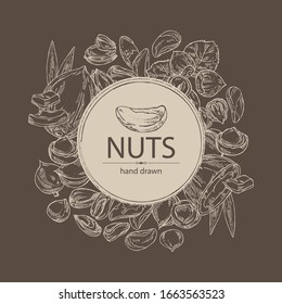 Background with nuts: pistachio, macadamia, hazelnut, brazilian nut and coconut. Vector hand drawn illustration