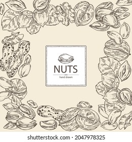 Background with nuts: walnut, hazelnut, peanuts and pistachio nuts. Vector hand drawn illustration.