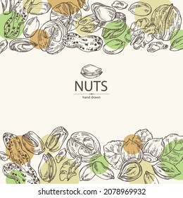 Background with nuts: walnut, hazelnut, peanuts and pistachio nuts. Vector hand drawn illustration.