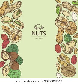 Background with nuts: walnut, hazelnut, peanuts and pistachio nuts. Vector hand drawn illustration.