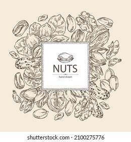 Background with nuts: walnut, hazelnut, peanuts and pistachio nuts. Vector hand drawn illustration.