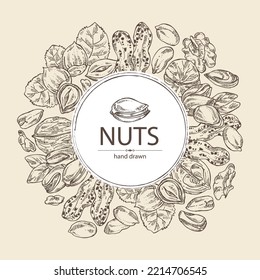 Background with nuts: walnut, hazelnut, peanuts and pistachio nuts. Vector hand drawn illustration.