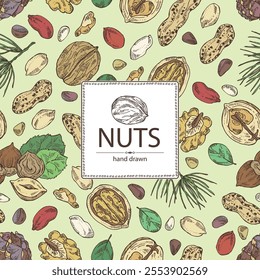 Background with nuts: walnut, hazelnut, peanuts and pine nuts. Vector hand drawn illustration.