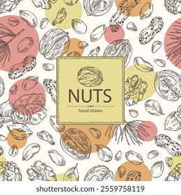 Background with nuts: walnut, hazelnut, peanuts and pine nuts. Vector hand drawn illustration.