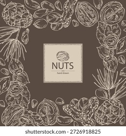 Hintergrund mit Nüssen: Walnuss, Haselnuss, Erdnüsse und Pinienkerne. Handgezeichnete Vektorgrafik.