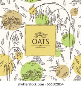 Fondo con avena: planta de cereales y avena. Ilustración dibujada a mano por vectores.