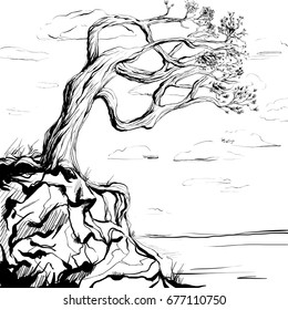 Background with an old tree on the rocks, vector. Drawing by hand