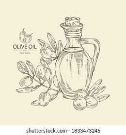 Background with olive and bottle of olive oil. Vector hand drawn 