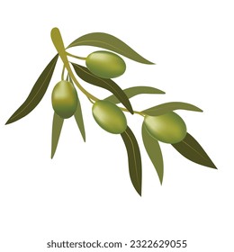 Background with olive branch and green olives. Vegetarian food and healthy lifestyle