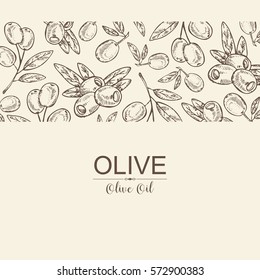 Antecedentes con olivo y rama de olivo. dibujado a mano.