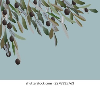 Antecedentes con ramas de olivo y bayas negras, bonito tapiz, ilustración para viajar en italia o grecia, ingrediente para pizzas y ensaladas