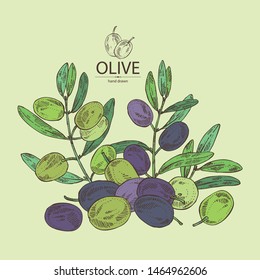 Background with olive: olives and olive branch. Vector hand drawn illustration