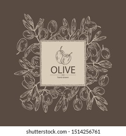 Background with olive: olives and olive branch. Vector hand drawn illustration.