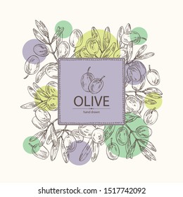 Background with olive: olives and olive branch. Vector hand drawn illustration.