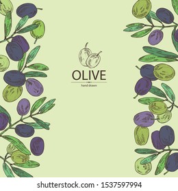 Background with olive: olives and olive branch. Vector hand drawn illustration.