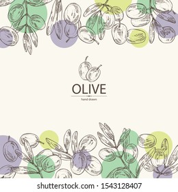 Background with olive: olives and olive branch. Vector hand drawn illustration.