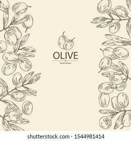 Background with olive: olives and olive branch. Vector hand drawn illustration.